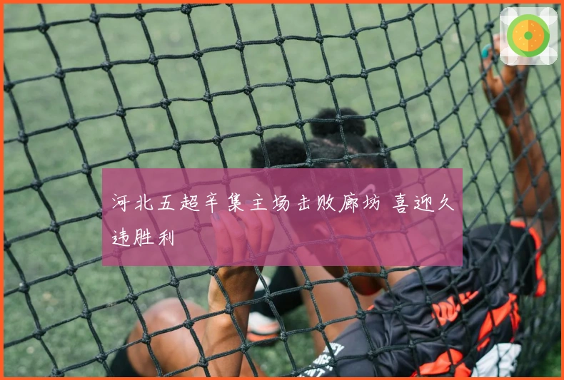 河北五超辛集主场击败廊坊 喜迎久违胜利