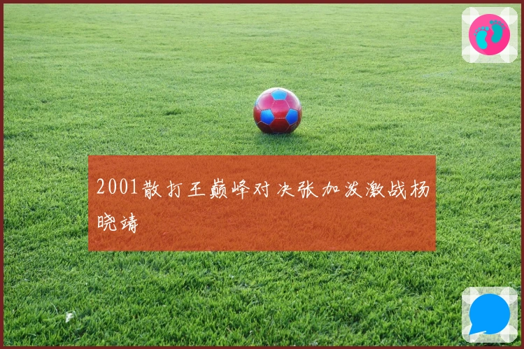 2001散打王巅峰对决张加泼激战杨晓靖