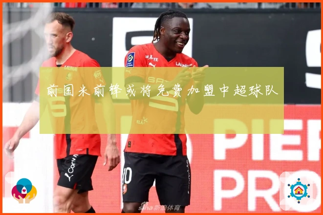 前国米前锋或将免费加盟中超球队